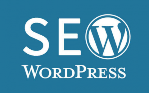 免费分享一款收费WordPress SEO插件